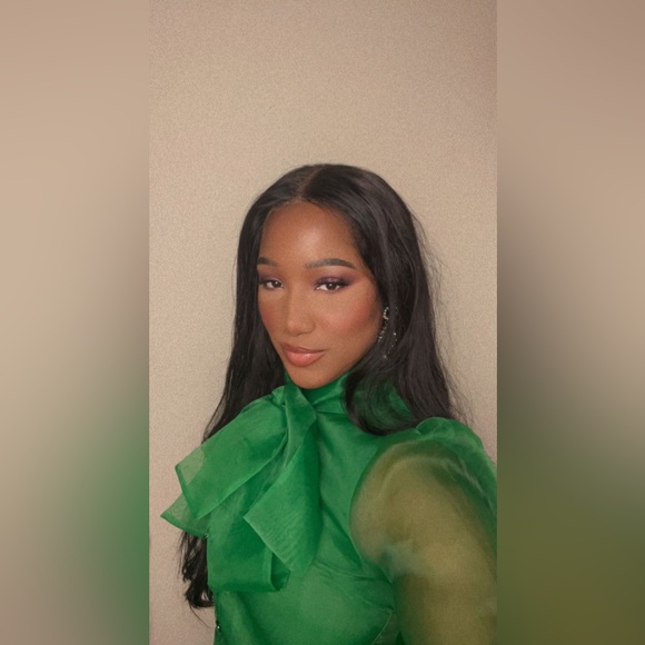 GREEN MESH BLOUSE // ZARA // size medium 💚 - Picture 1 of 6